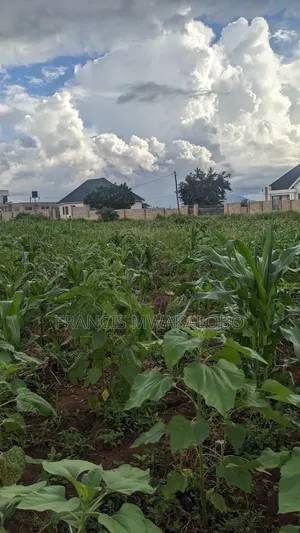 Kiwanja Kinauzwa Kitungwa Morogoro