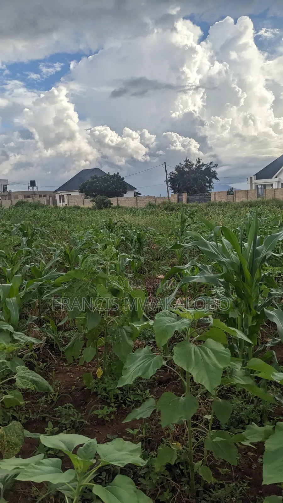 Kiwanja Kinauzwa Kitungwa Morogoro