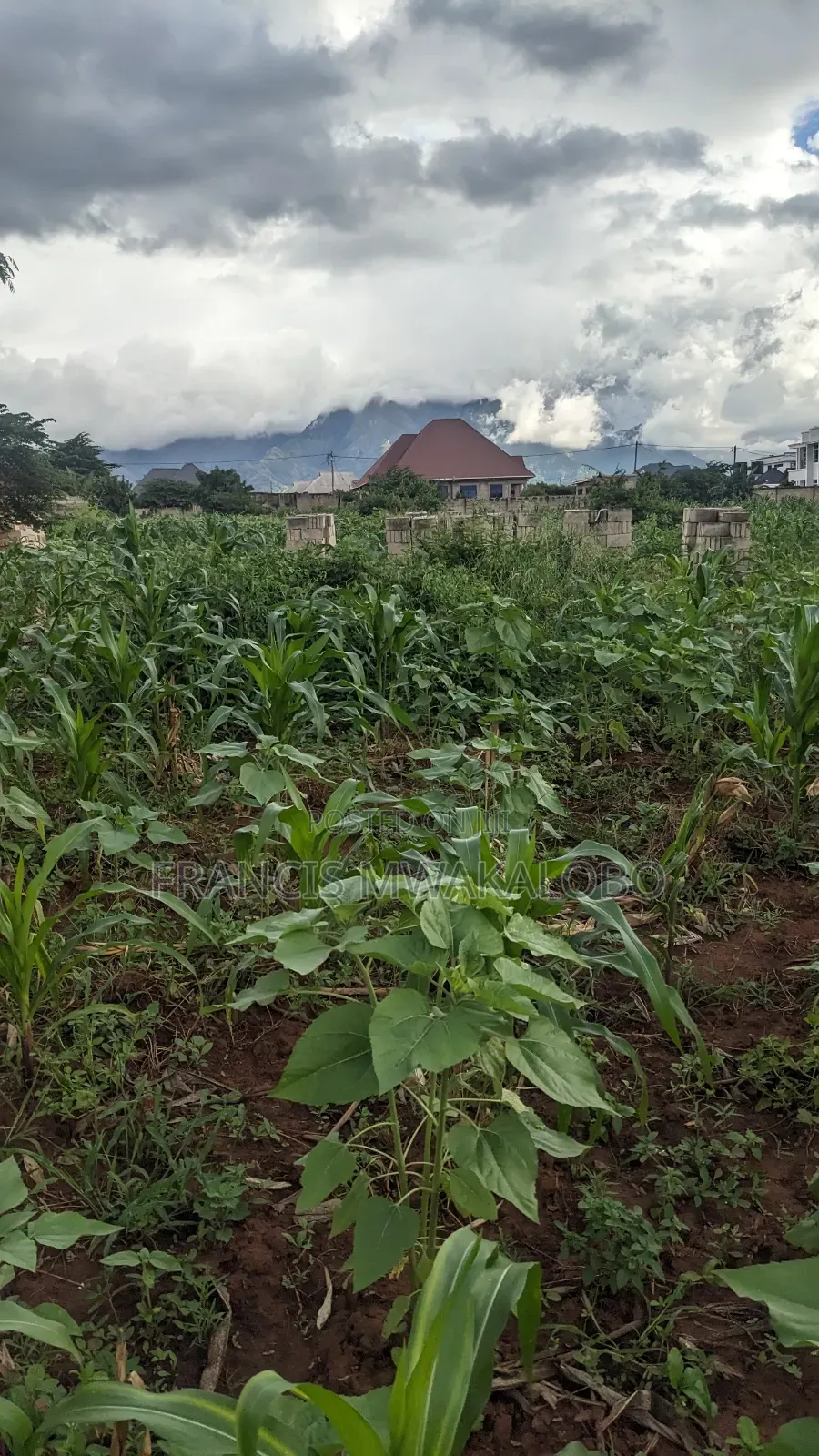 Kiwanja Kinauzwa Kitungwa Morogoro