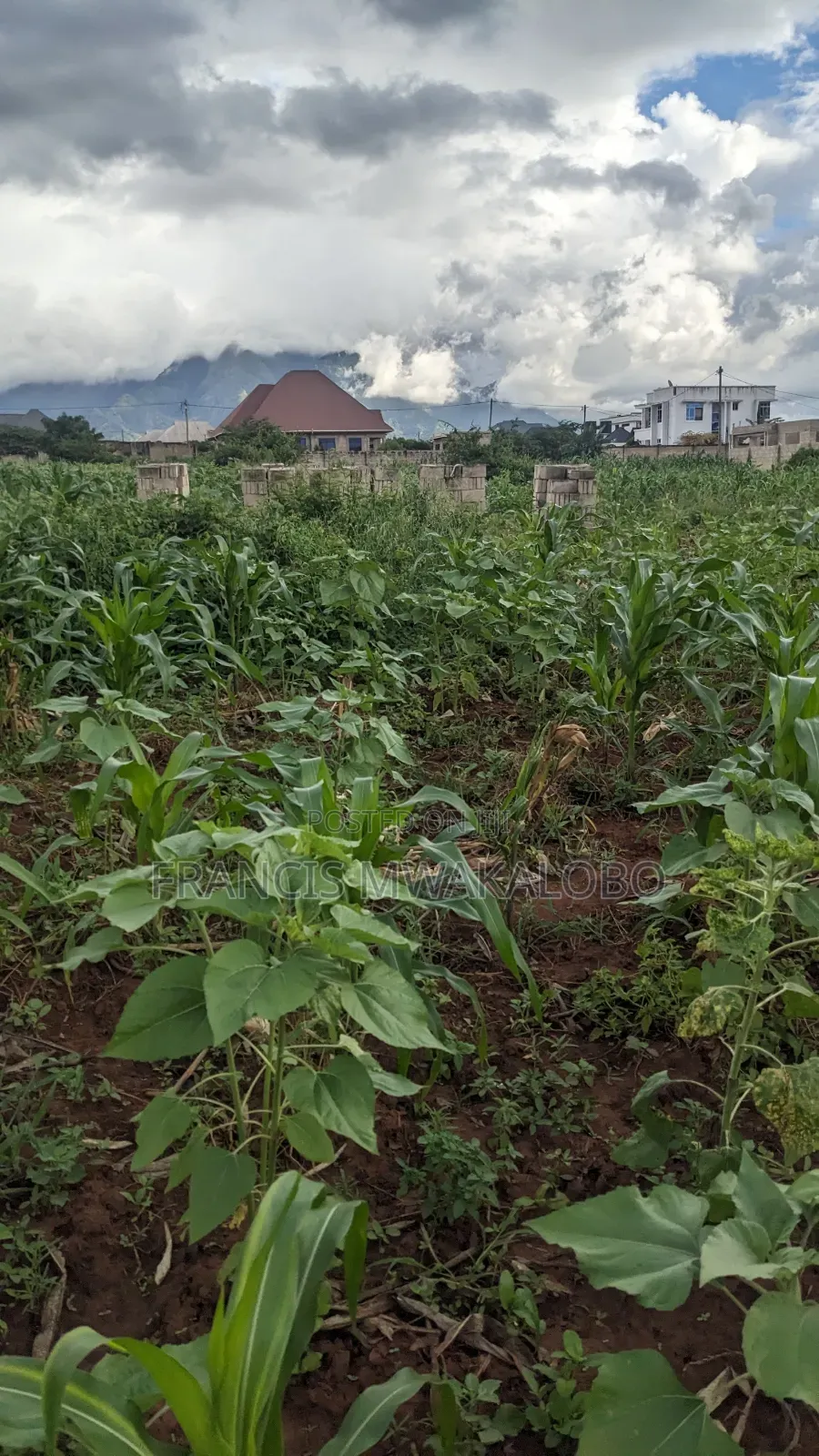 Kiwanja Kinauzwa Kitungwa Morogoro