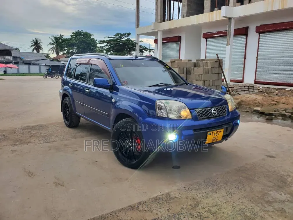 Nissan X-Trail 2.0 2005 Blue