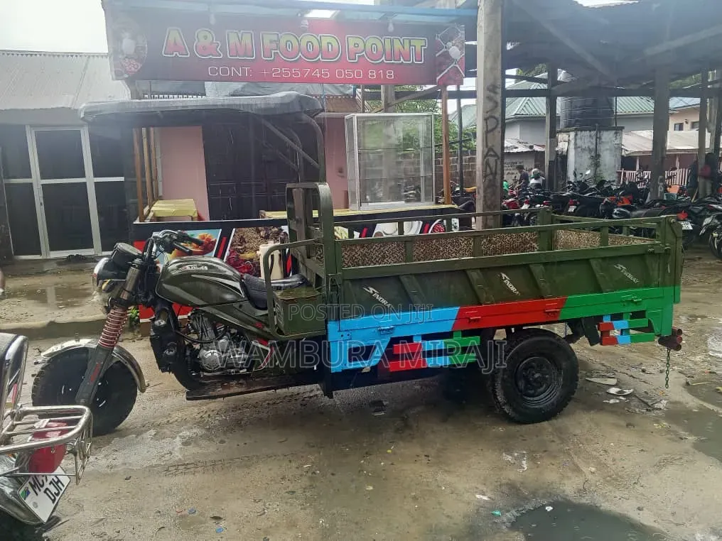 New Bajaj Avenger 200 2025 Green