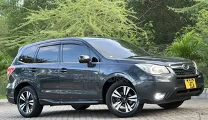 Subaru Forester 2015 Gray
