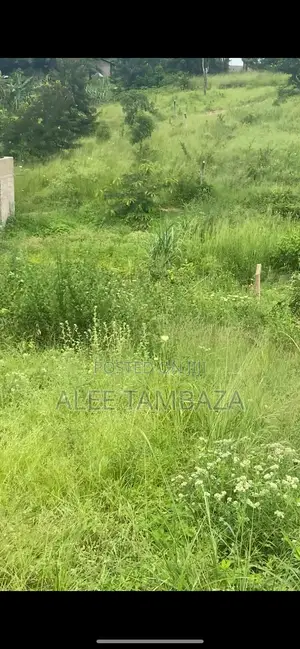 Plots for Sales Goba