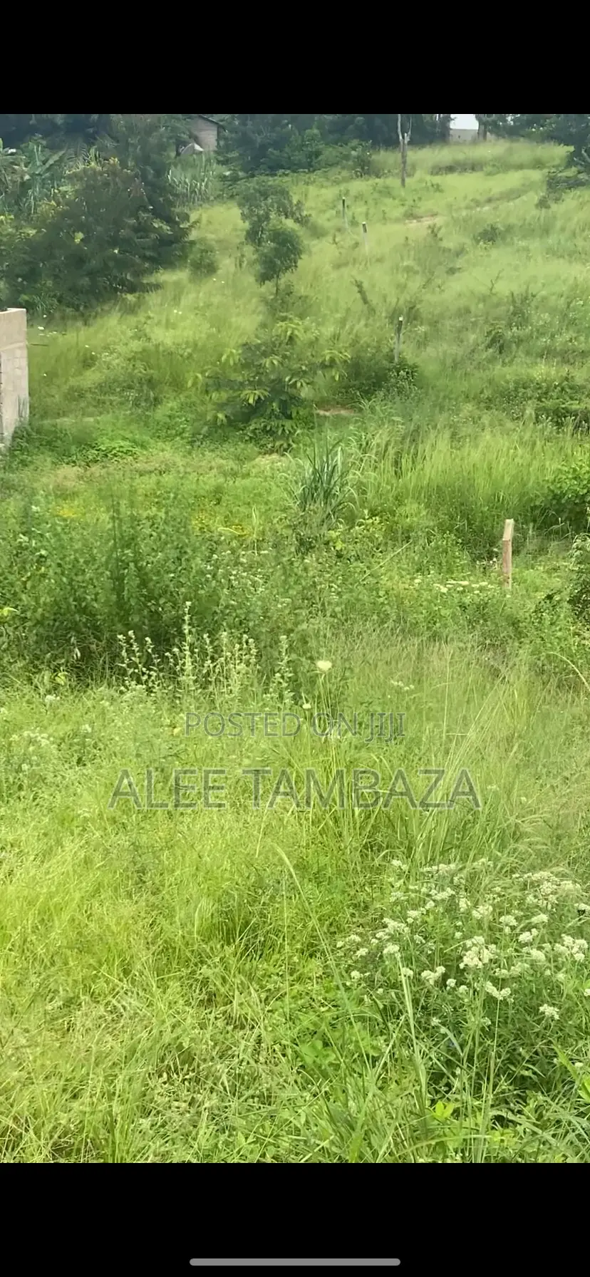 Plots for Sales Goba