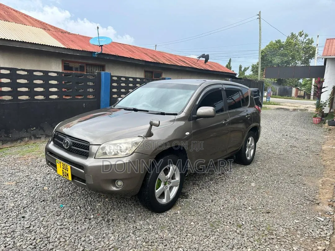 Toyota RAV4 2005 Gray