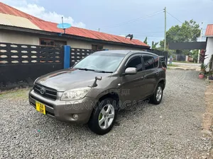 Toyota RAV4 2005 Gray