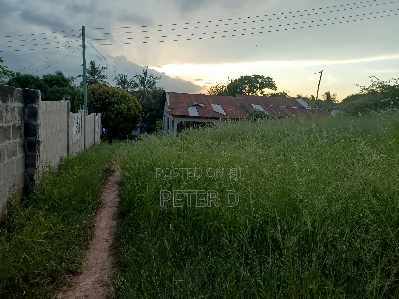 Ubungo Makoka Kiwanja Tambarale
