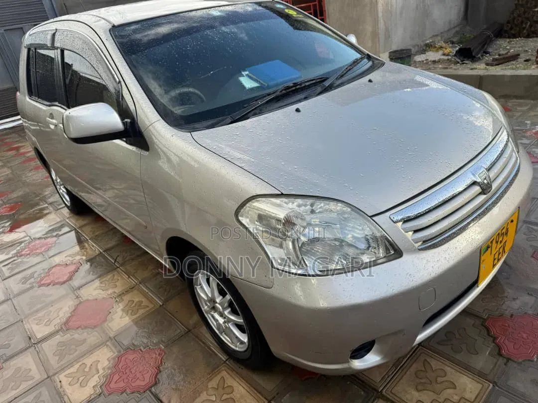 Toyota Raum 2008 Silver