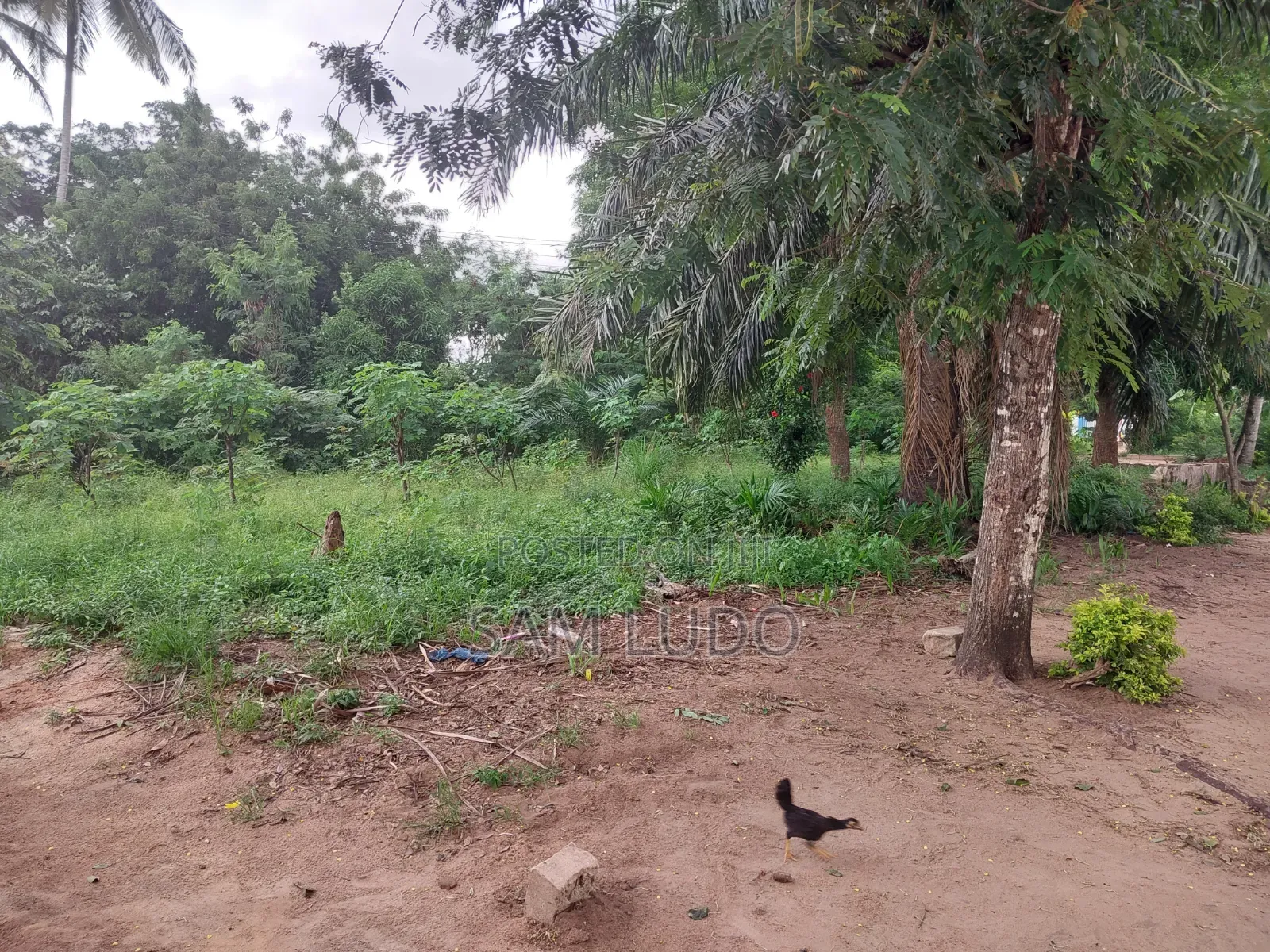 Furnished 6bdrm House in Kwa Mwema, Pugu for sale