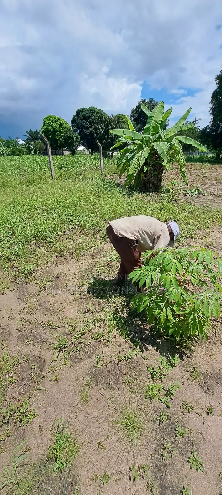 Eneo Linauzwa Kerege Amani - Bagamoyo