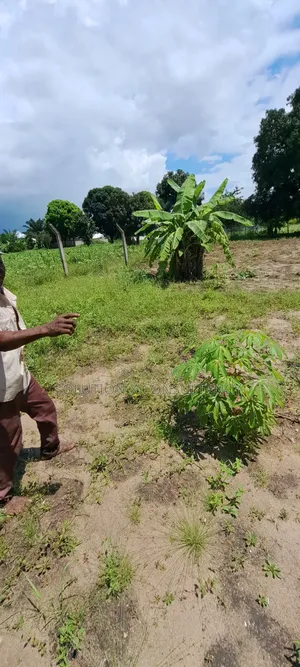 Eneo Linauzwa Kerege Amani - Bagamoyo