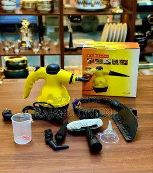 Home Steam Cleaner