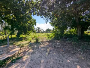 6 Acres (24,100 Sq M) Open Yard Cor Rent in Ununio