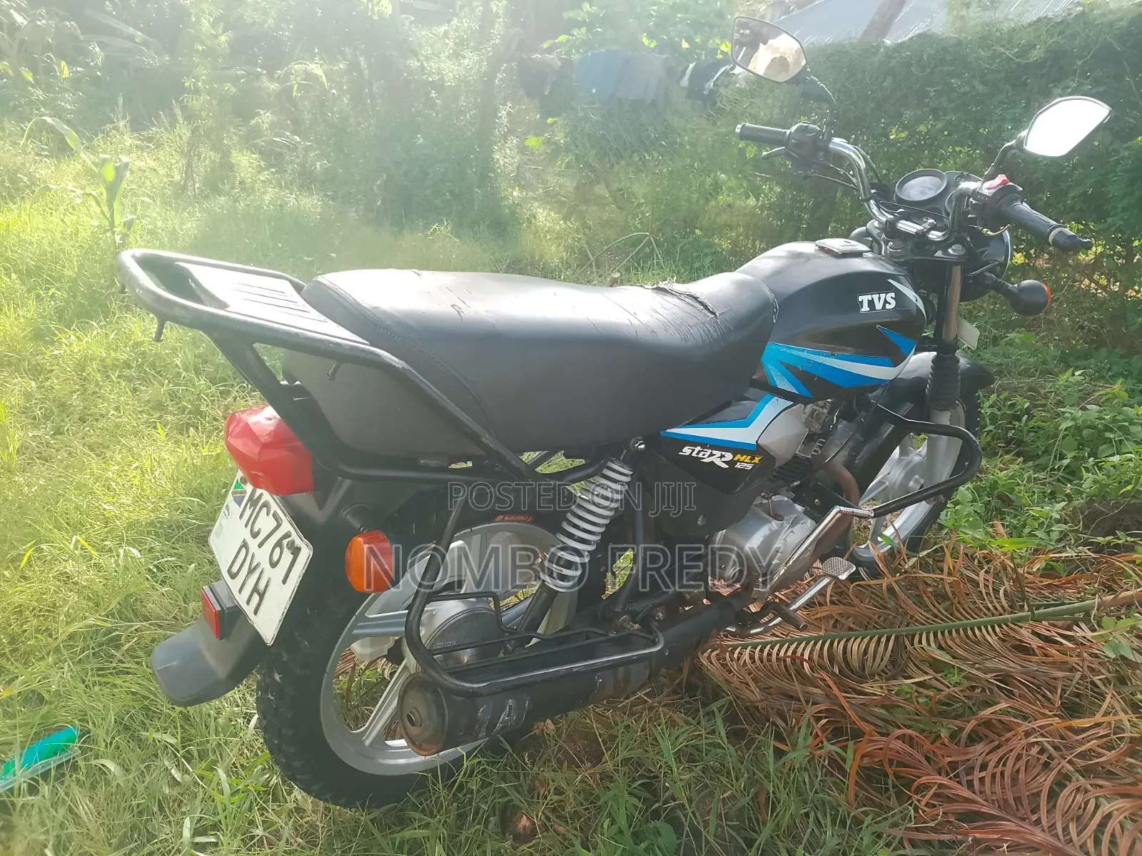 TVS HLX 125 2022 Beige