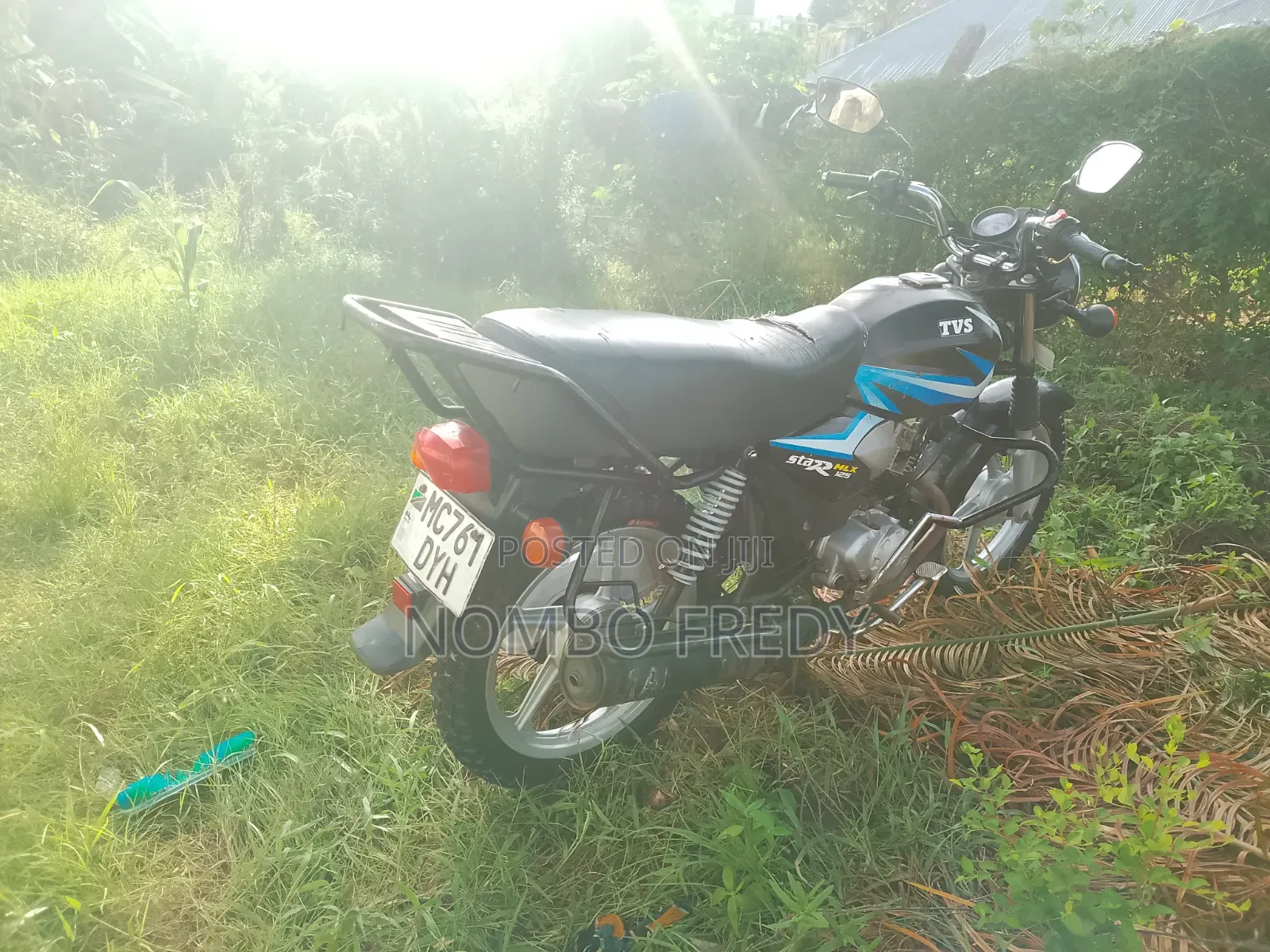 TVS HLX 125 2022 Beige