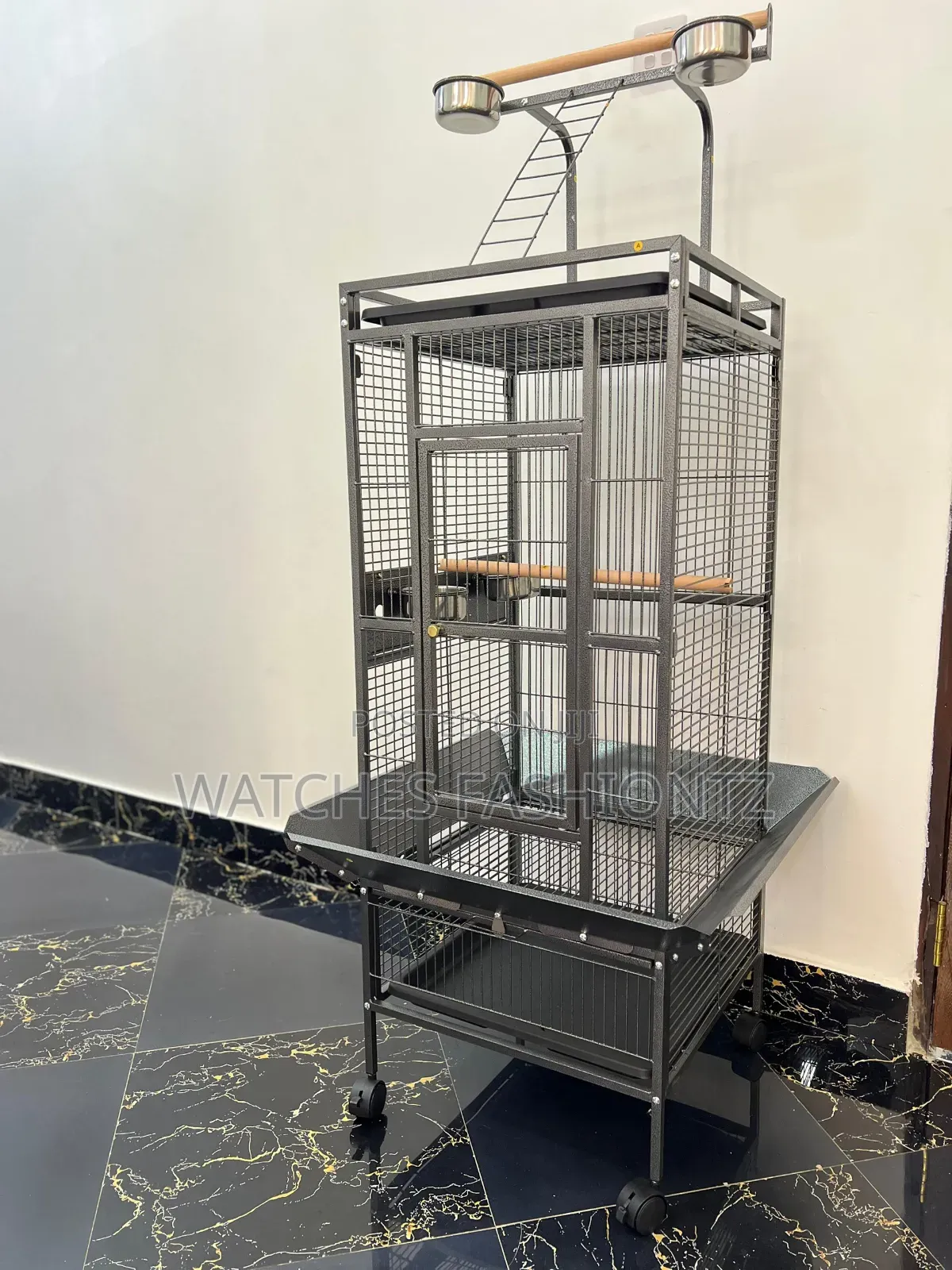 African Grey Cage