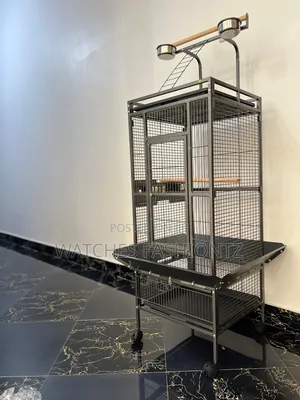 African Grey Cage