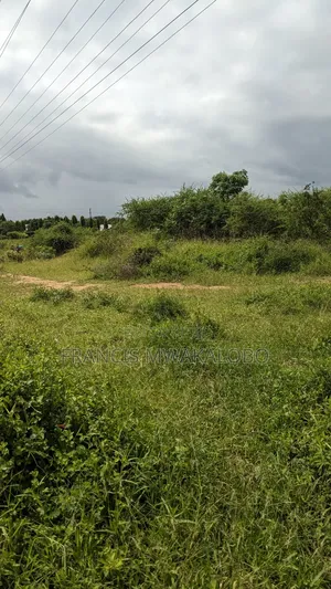 Petrol Station Land for Sale Mkundi Banana Morogoro