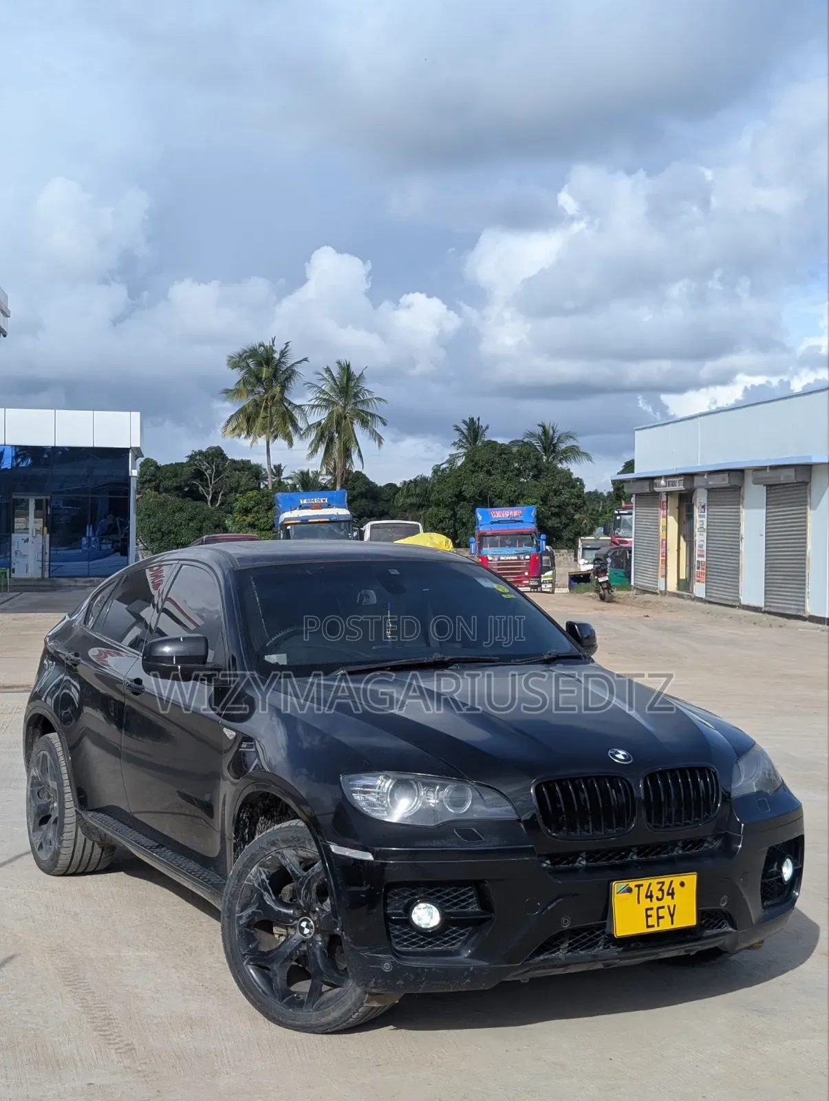 BMW X6 2009 Purple