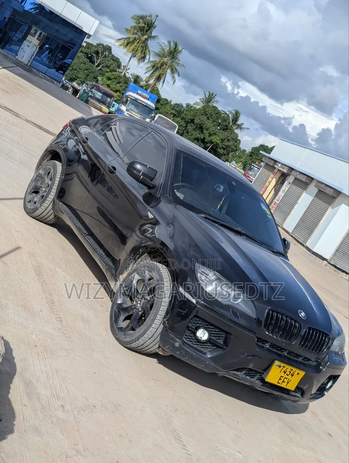 BMW X6 2009 Purple