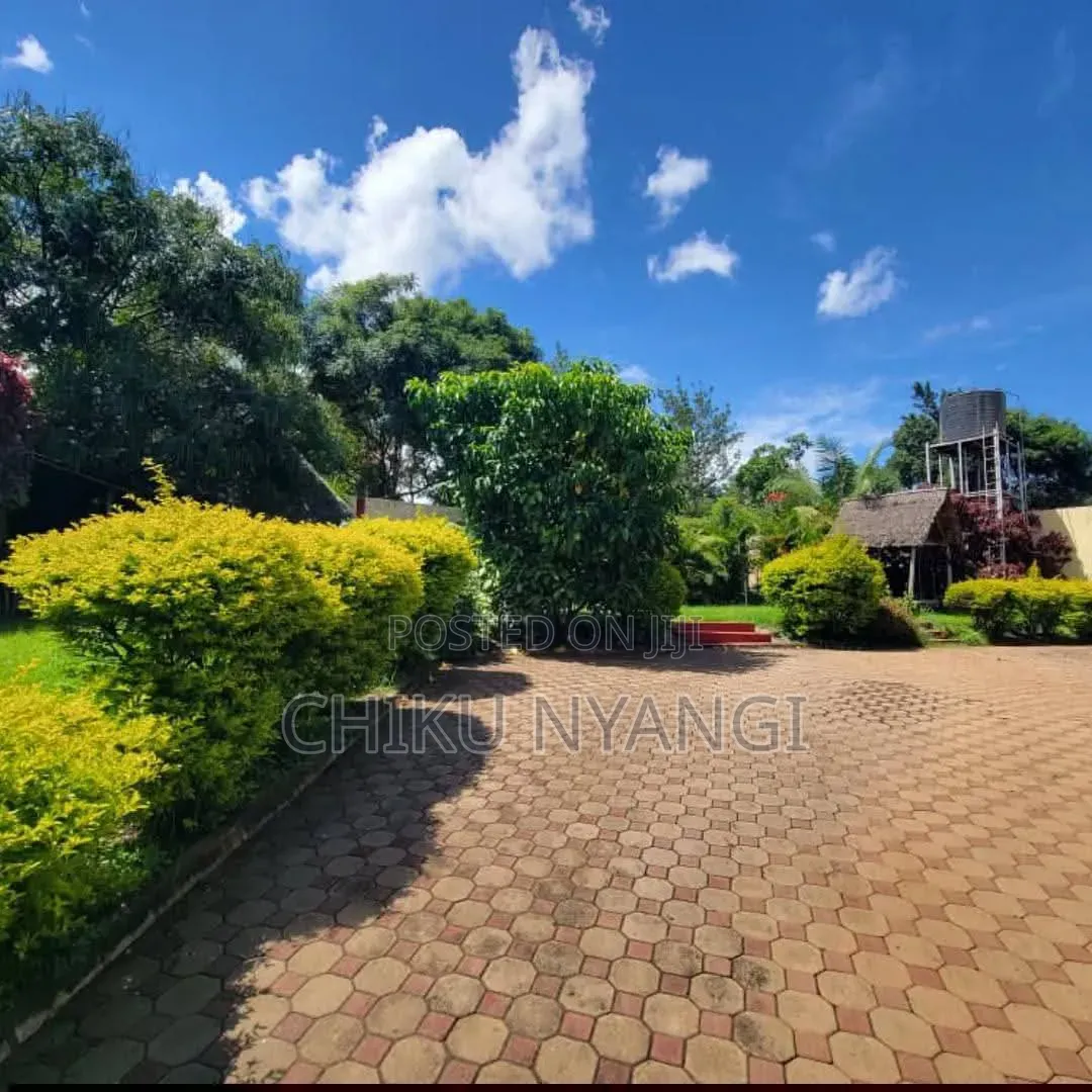 4bdrm House in Chiku Nyangi, Central Business Area for rent