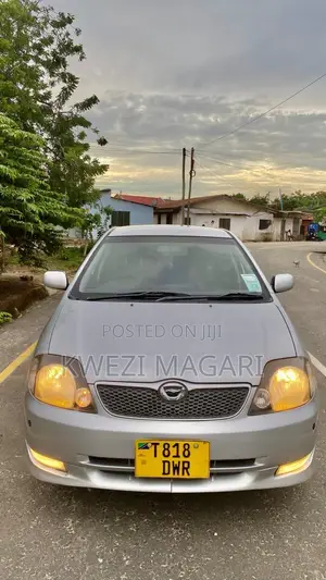 Toyota Corolla RunX 2002 Silver