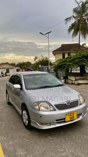 Toyota Corolla RunX 2002 Silver