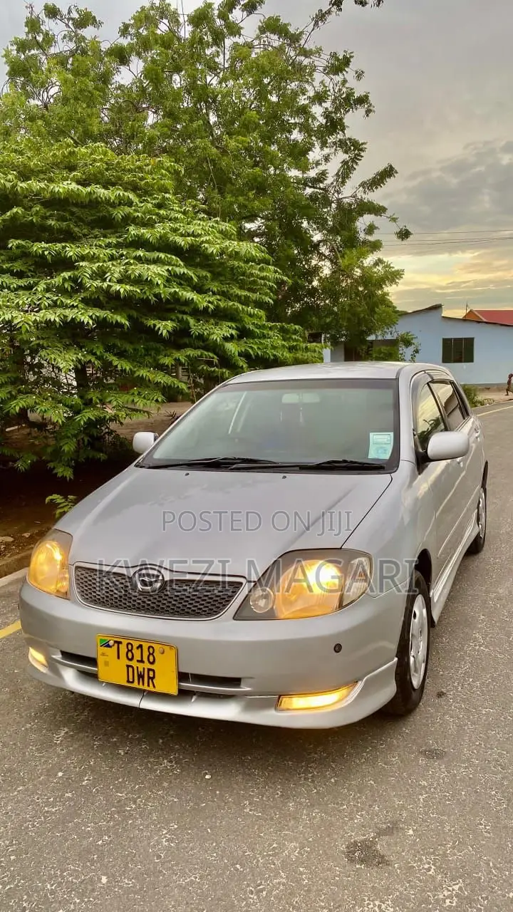Toyota Corolla RunX 2002 Silver