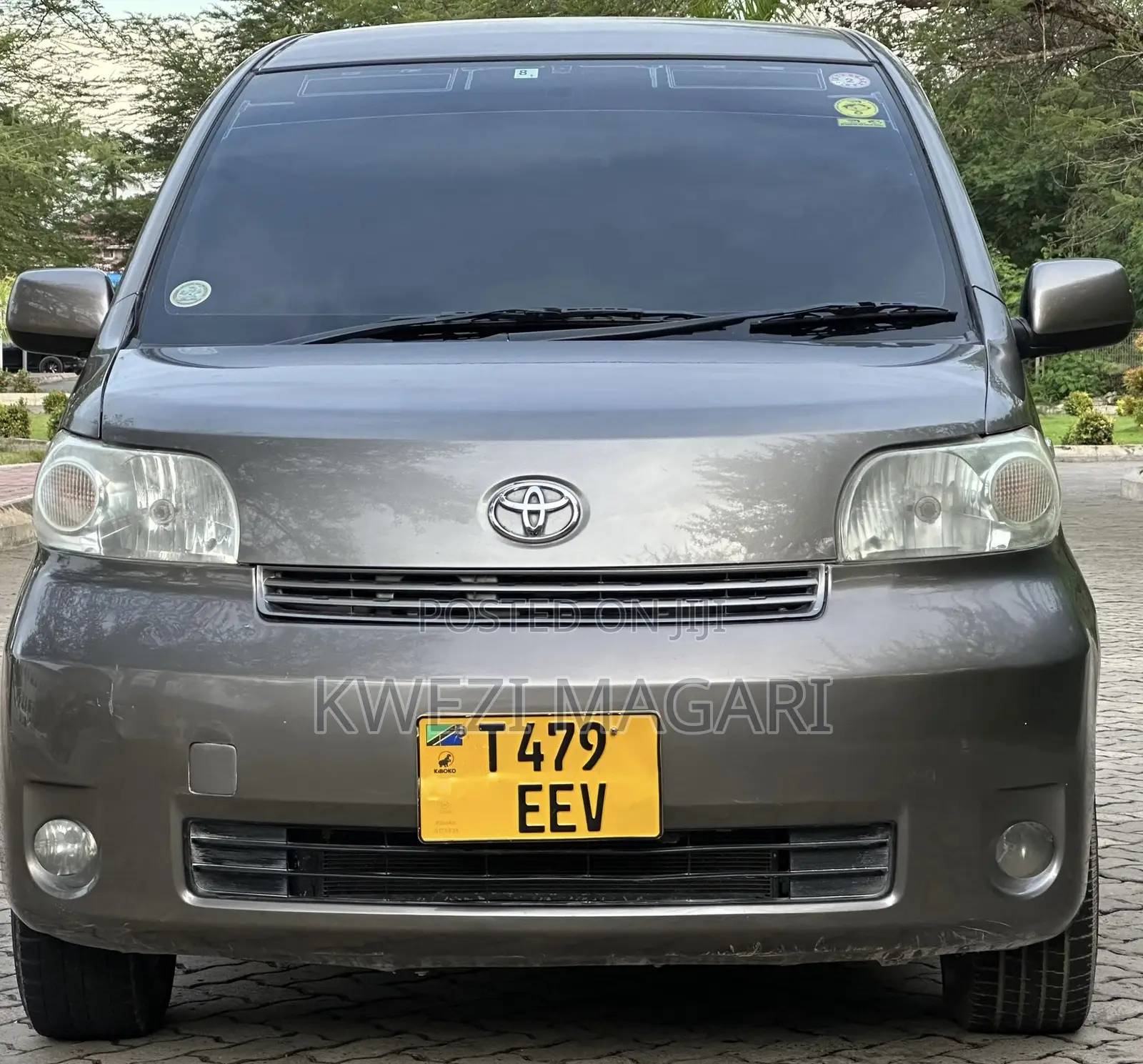 Toyota Porte 2006 Gray