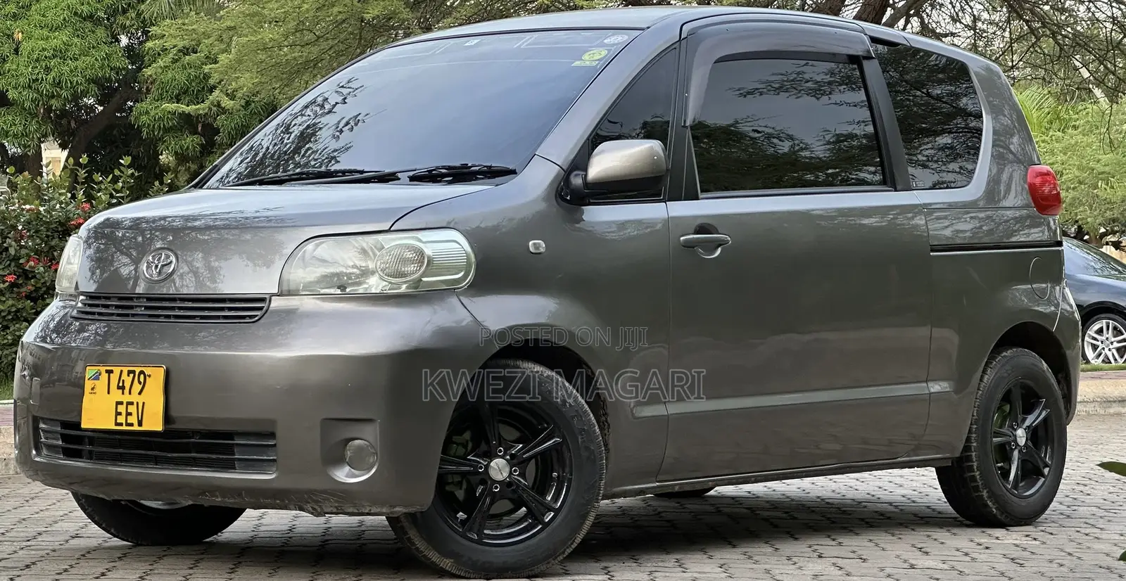 Toyota Porte 2006 Gray