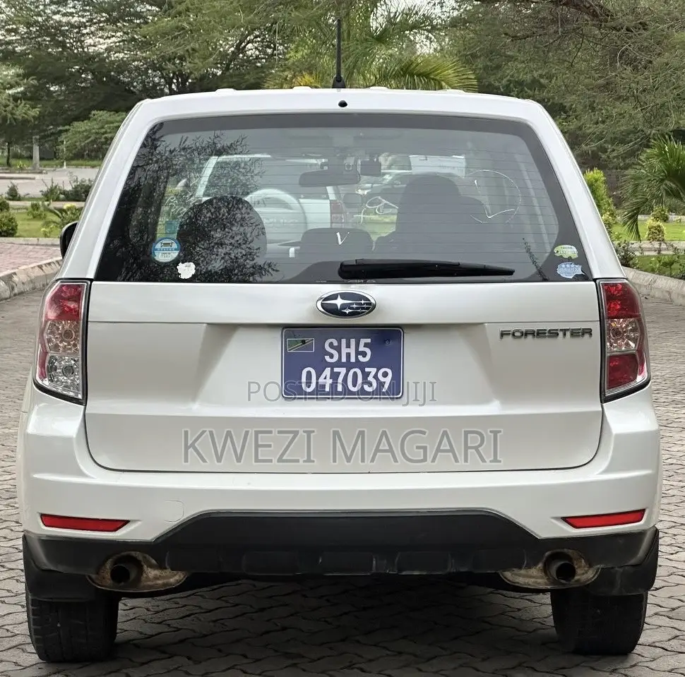 Subaru Forester 2011 Pearl