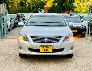 Toyota Premio 2009 Silver