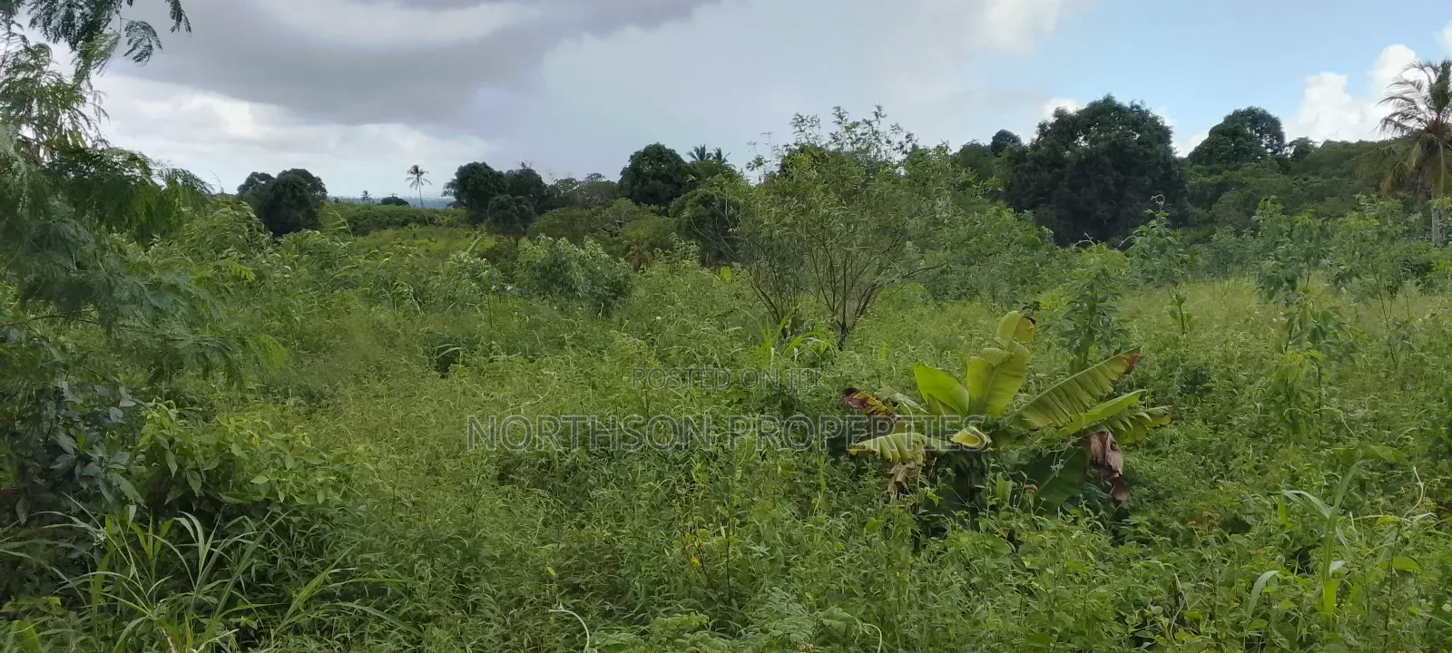 Land at Mkuranga