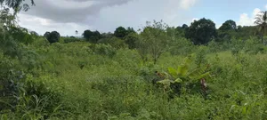 Land at Mkuranga