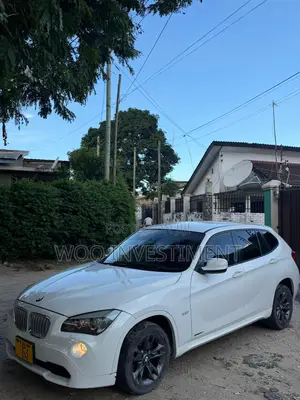 BMW X1 2010 White