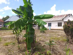 Furnished 5bdrm House in Biriani Real Estate, Chamazi for sale