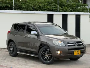 Toyota RAV4 2009 Brown