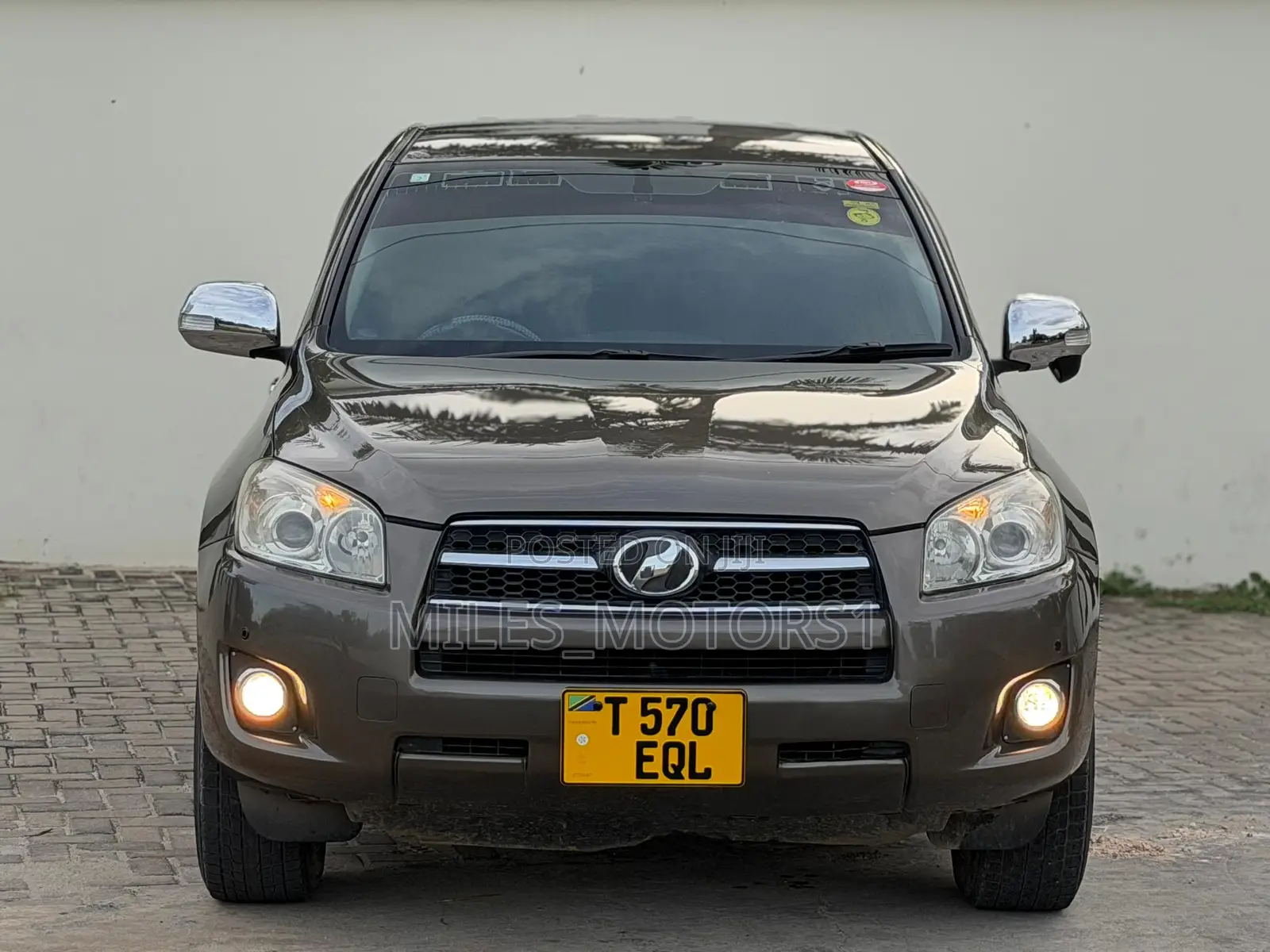 Toyota RAV4 2009 Brown