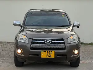 Toyota RAV4 2009 Brown