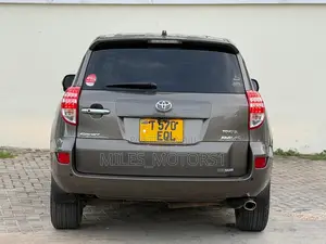Toyota RAV4 2009 Brown