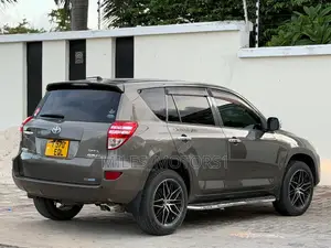 Toyota RAV4 2009 Brown