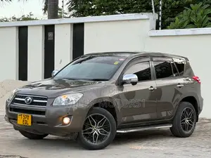 Toyota RAV4 2009 Brown