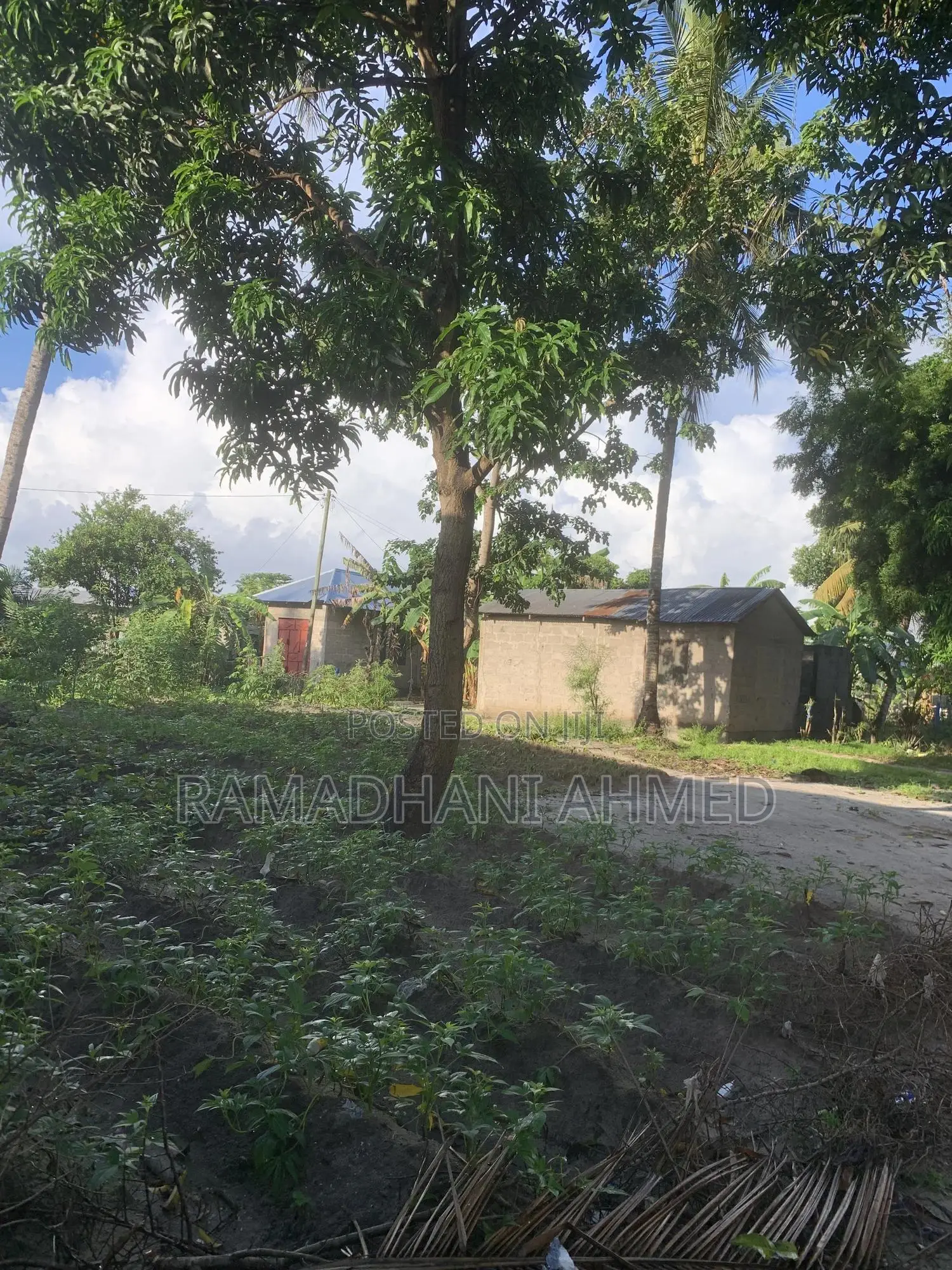 Eneo Linauzwa
