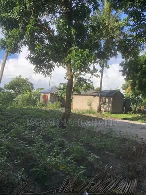 Eneo Linauzwa