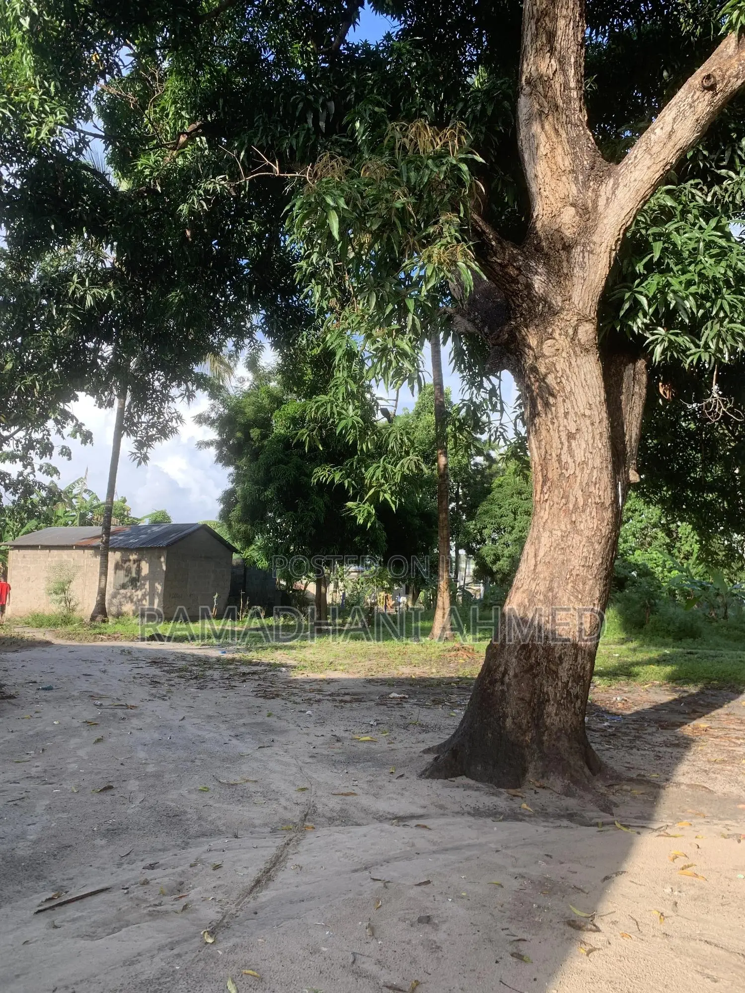 Eneo Linauzwa