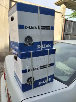 D-Link Category 6 (Cat6) Utp Networking Cable.