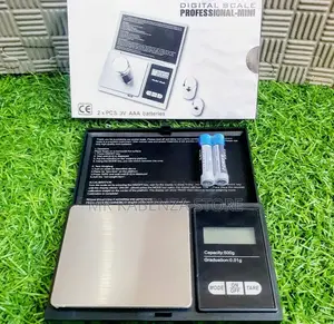 Professional Mini Digital Scale 500g