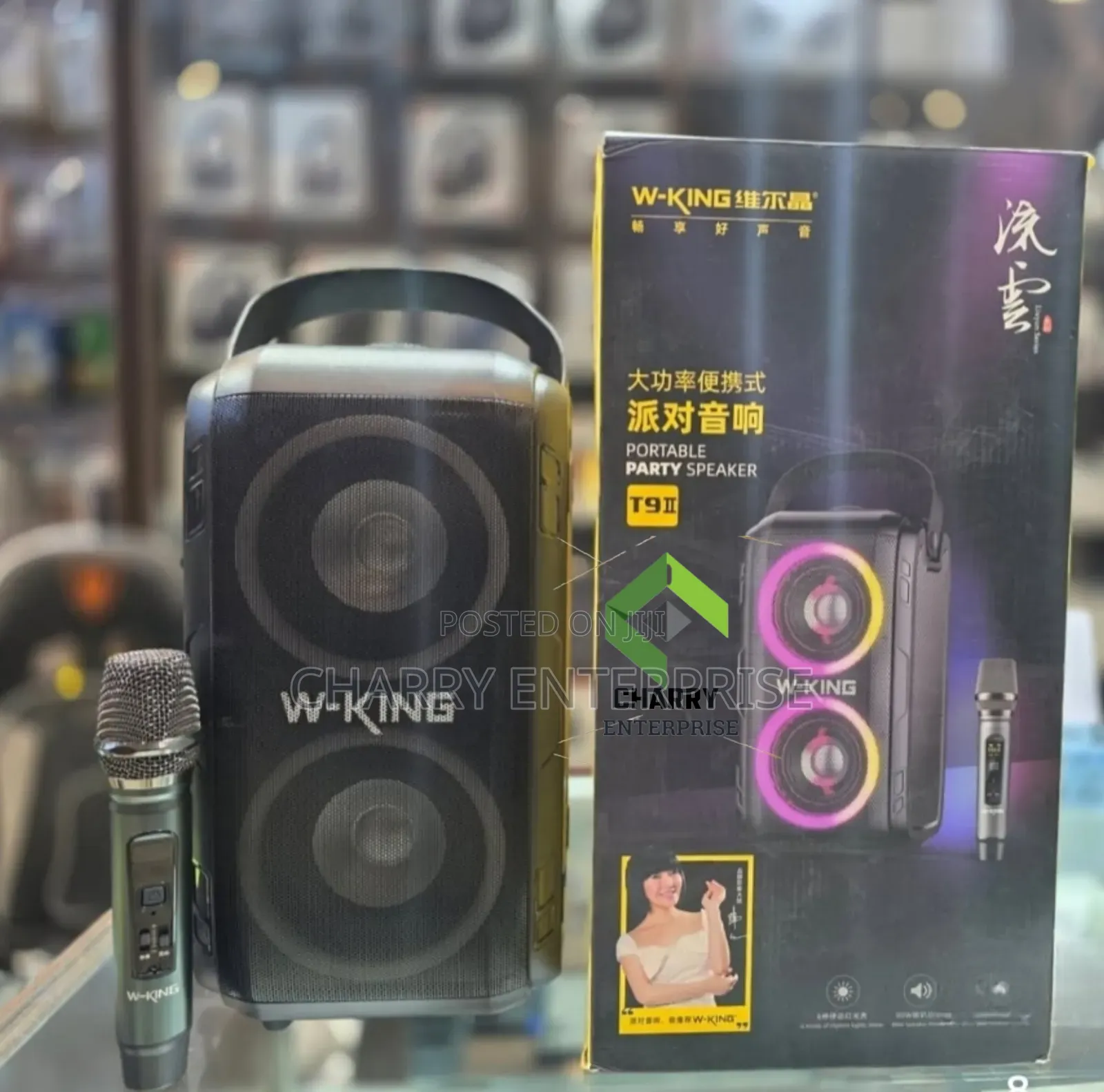 W-King T9 Karaoke Speaker Rechargeable With Tight Bass Mic 80w