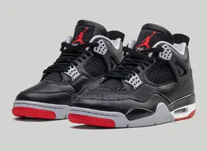 Air Jordan 4s